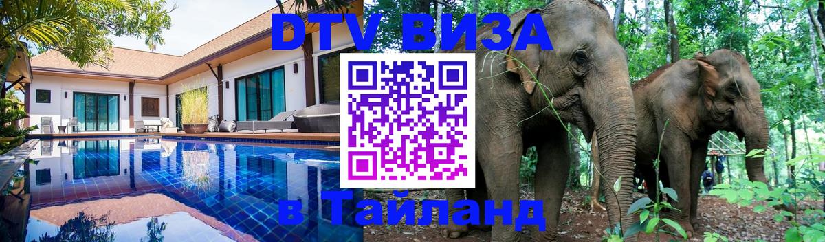 Сколько стоит DTV виза — актуальные цены, оформление даже без документов - Иерусалим  21.11.2025 